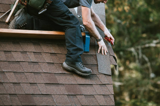 Best Roof Maintenance Services  in Hemlock Farms, PA